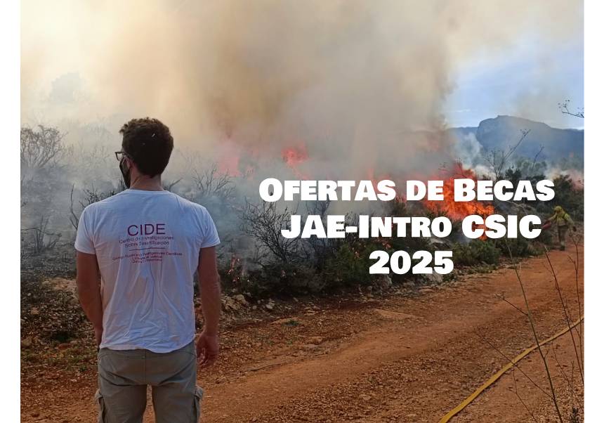 Image de la noticia